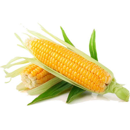 Premium Farms